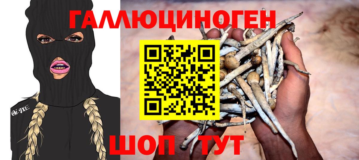 Псилоцибиновые грибы Psilocybine cubensis  Вход с VPN  Сосновый Бор 