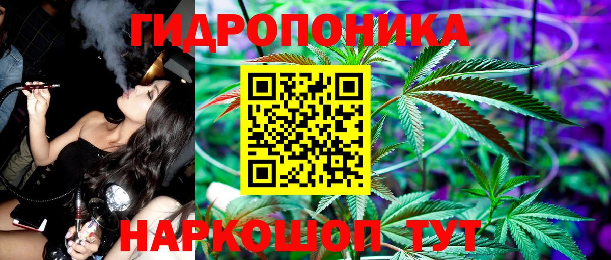Сосновый Бор  Бошки Шишки планчик  Канабис VHQ  Вход с VPN  Конопля конопля 
